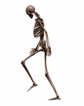 pic for Mr. Bones